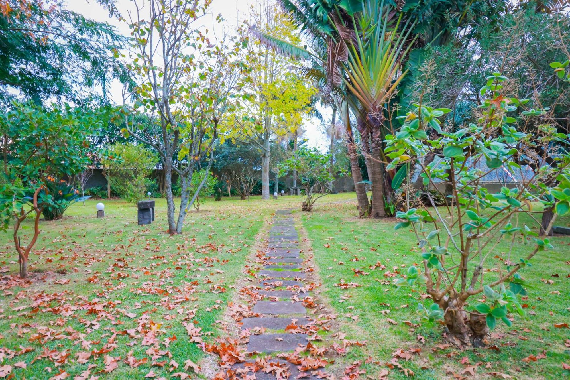 Ponta Delgada Casa Barao Das Laranjeiras מראה חיצוני תמונה